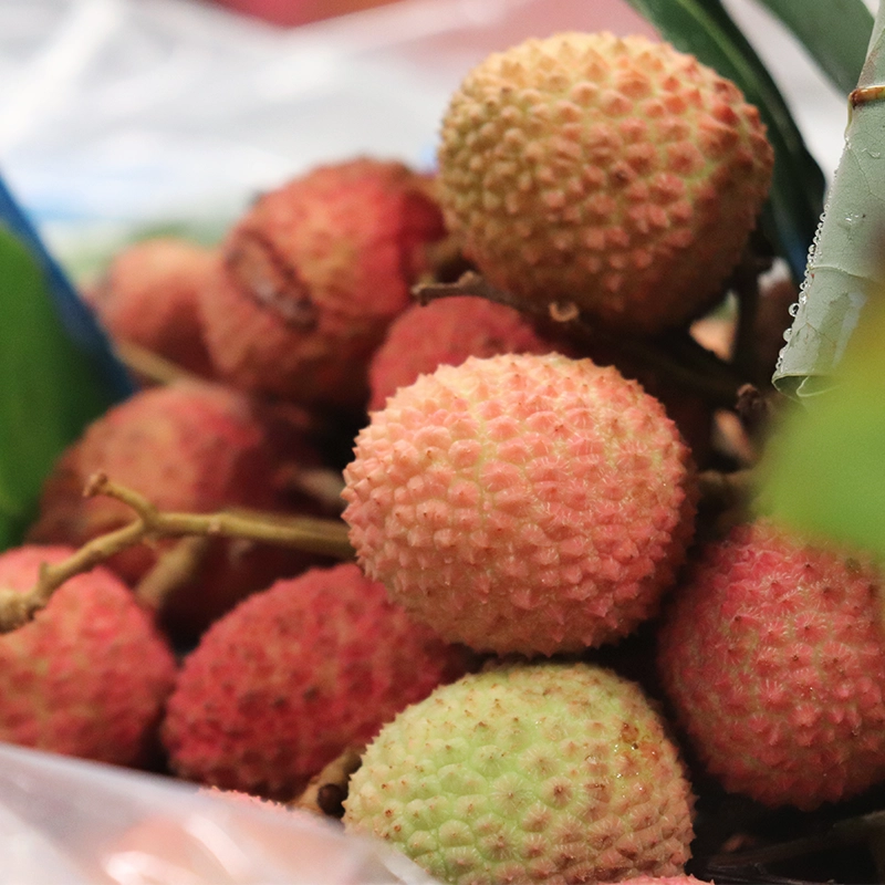 Litchis